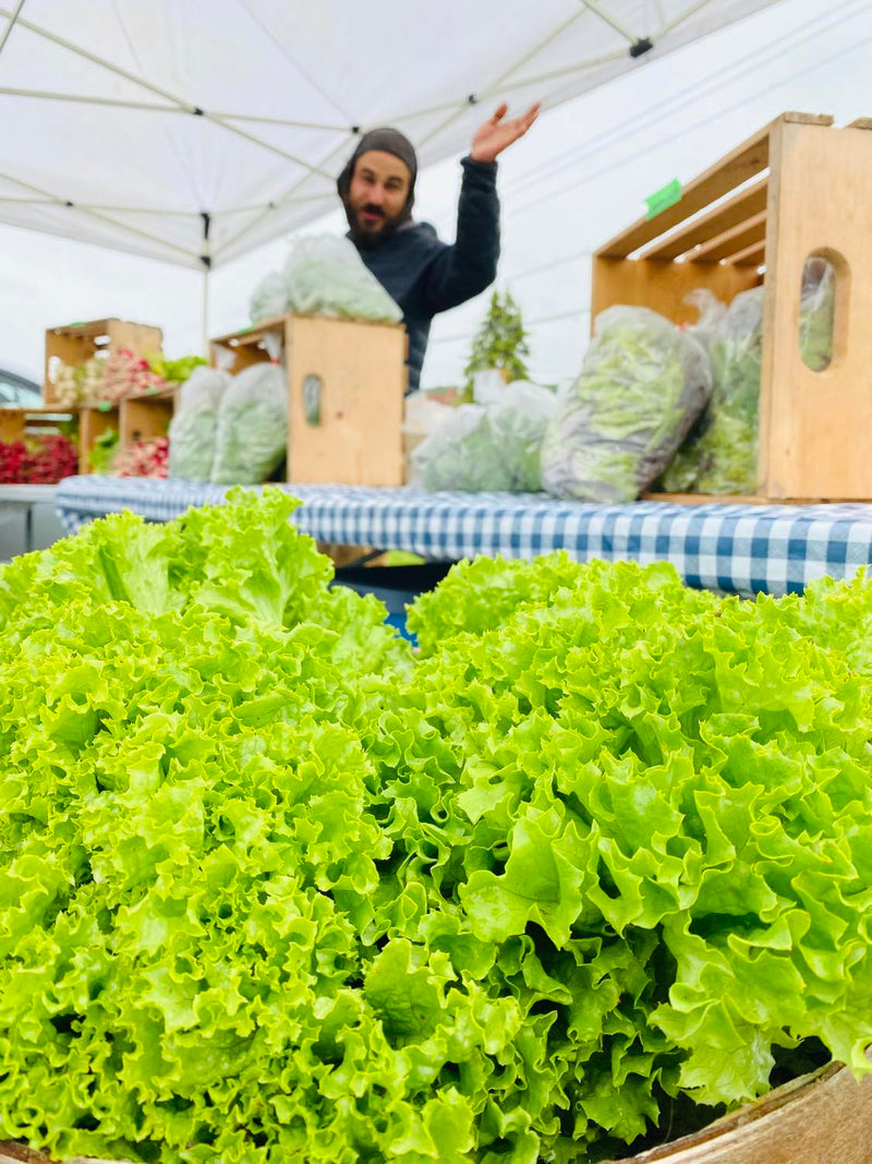 Mini marché au coeur du village du Bic - Inscription des exposants Été 2026