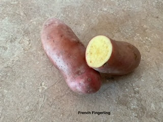 PRÉCOMMANDE | Pomme de terre French Fingerling Biologique - *Disponible en cueillette sur place seulement*