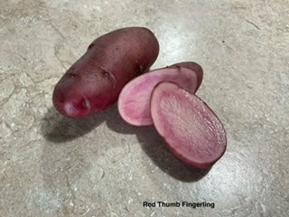 PRÉCOMMANDE | Pomme de terre Red Thumb Fingerling Biologique - *Disponible en cueillette sur place seulement*