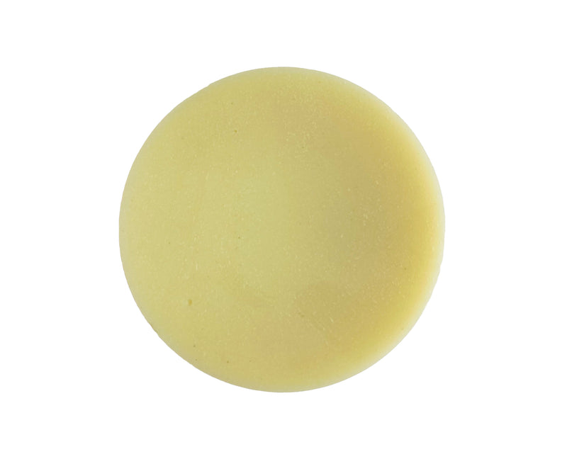 PURIFY CONDITIONER BAR - Rosemary and Cedar - Oily Hair and Irritated Scalps - NO BOX