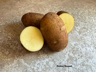 PRÉCOMMANDE | Pomme de terre Rickey Russet Biologique - *Disponible en cueillette sur place seulement*