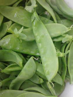 seeds semences graines Québec Pois Mange - Tout Oregon sucré Snow peas Oregon sweetness organic  bio biologique Est du Québec Bic Le Jardin de Julie écologique semencier 