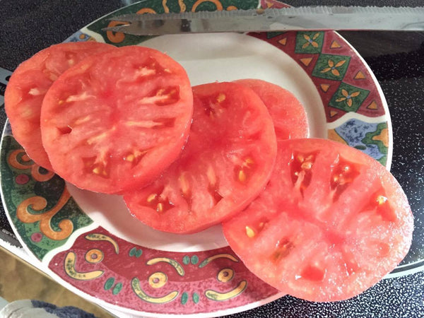 Crnkovic Yugoslavian Tomato (Pink) - Seeds