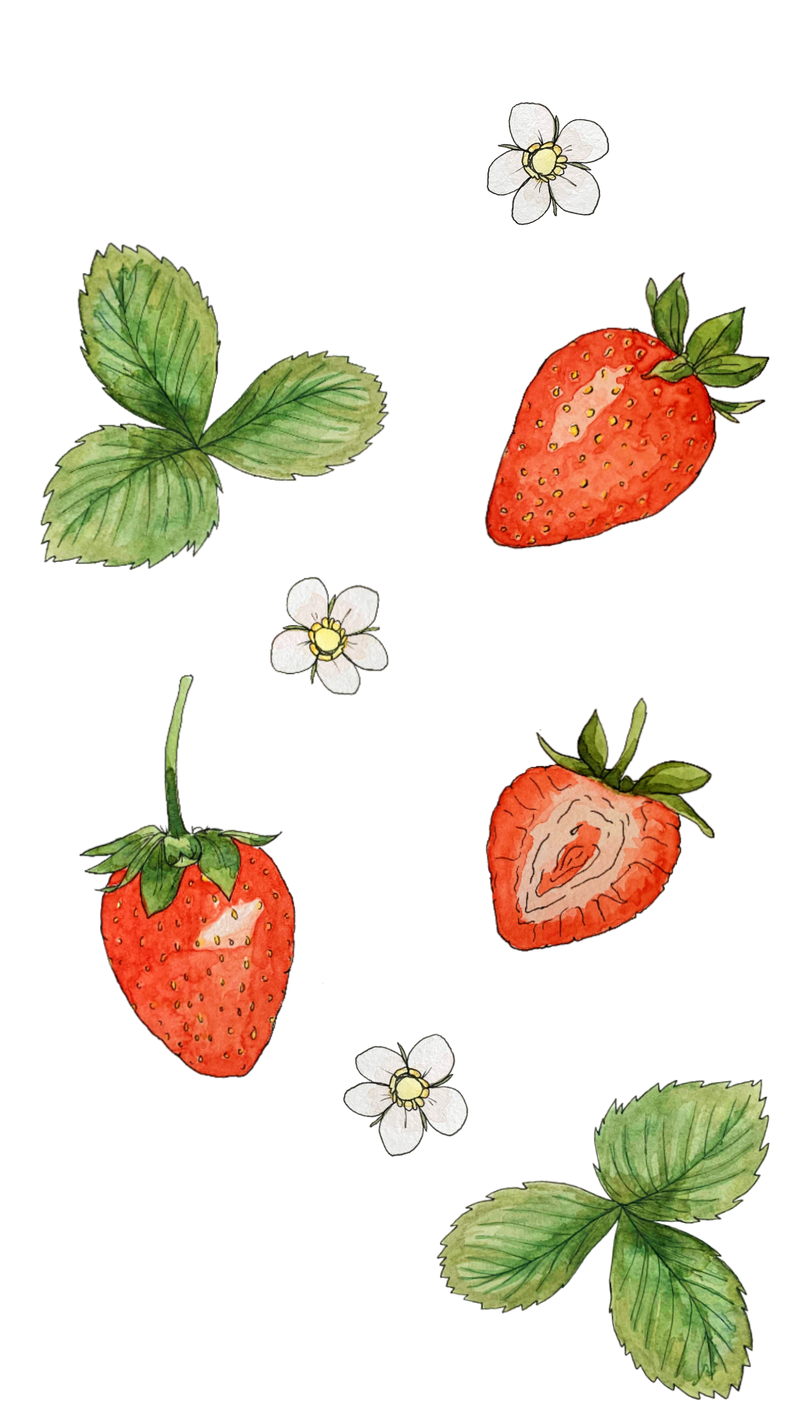 Wild Strawberry Greetings Card