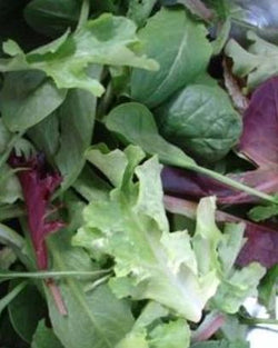 seeds semences graines Québec mesclun mélange organic lettuce mix bio biologique Est du Québec Bic Le Jardin de Julie écologique semencier