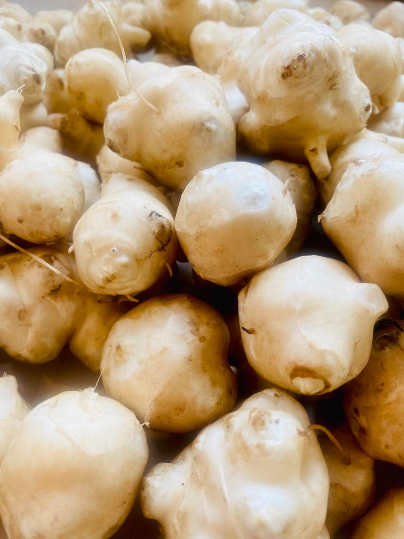 Topinambour blanc - Semences (Tubercules) pour plantation d'automne **PRÉVENTE 2022 TERMINÉE - LIVRAISON EN OCTOBRE 2022**